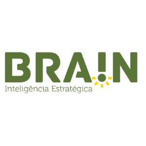 Brain